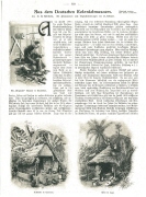 Archivalie, Zeitschriftenseite, Seiten 889/890, "Aus dem deutschen Kolonialmuseum", Deutsches Kolonialmuseum Berlin, Deutsche Kolonien